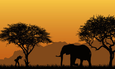 Fototapeta na wymiar realistic illustration of a silhouette of a man photographer and elephant in an African safari with trees, mountains under an orange sky , vector