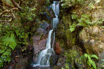 Wasserfall im Naturschutzgebiet Rabacal auf Madeira