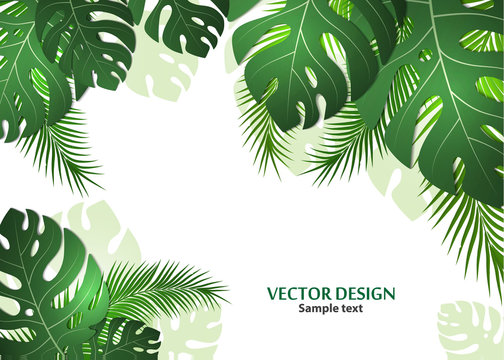 Vector background with tropical monster leaves and palm leaves. Bright abstract background for banner, flyer or cover with copy space for text or emblem - vector graphics