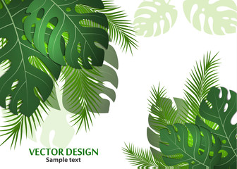 Vector background with tropical monster leaves and palm leaves. Bright abstract background for banner, flyer or cover with copy space for text or emblem - vector graphics