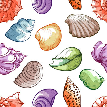 Sea shell pattern, bright decoration and travel