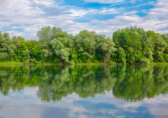 Fototapeta na wymiar green nature reflection in lake water 