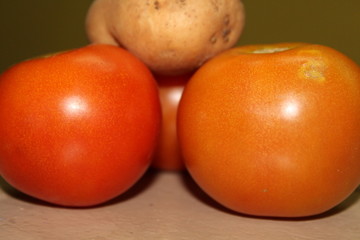 tomatoes on a white background