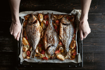 fish for dinner. in female hands baked fish on a baking sheet.