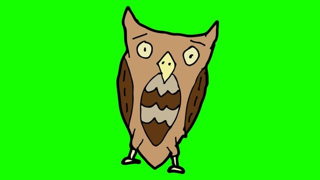kids drawing green screen with theme of owl
