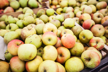 organic apples ready for sale at local farmers market