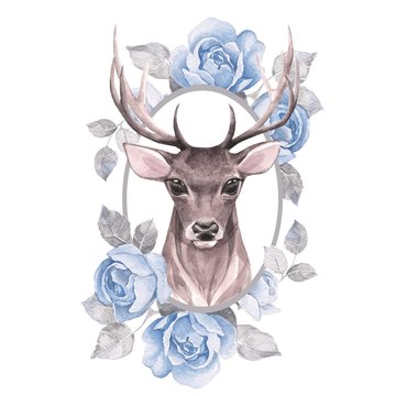 Noble deer and blue roses. Watercolor illustration