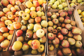 organic apples ready for sale at local farmers market