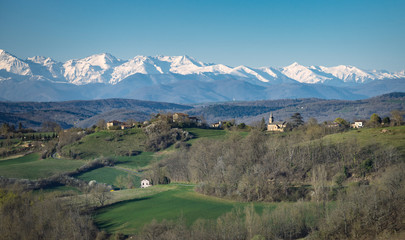 Fototapeta premium paysage de campagne avec les pyrénées