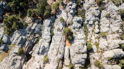 slots at rocky canyon