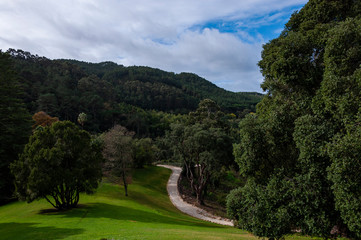 View of the Monserrate gardens in Sintra, Portugal