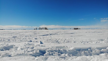 Montana Field in the Snow