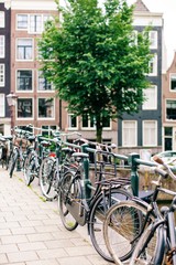 Bikes in Amsterdam