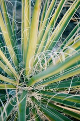 Processed with VSCO with c3 preset