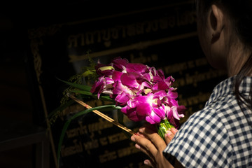 Thai orchid for worship in the temple at Thailand