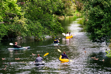 2018 DEC 22, New Zealand, Christchurch, People are kayaking on  the river in Botanic garden.