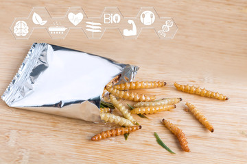 Bamboo worm insects for eating as food. Bamboo Caterpillar deep-fried crispy snack in a foil wrap ready with media icons nutrition on wood background, it is good source of protein edible. Entomophagy.