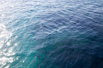 Obraz premium Coral reef is visible through the clear blue water. Beautiful blue sea wave photograph close up. Beach vacation at sea or ocean. Background to insert images and text. Tourism, travel.