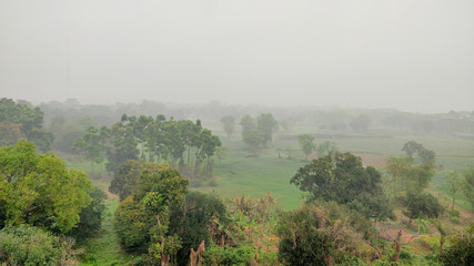 Beautiful Foggy Morning with Green View