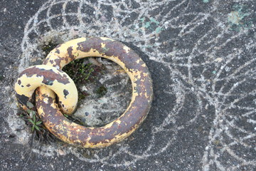 Eisenring im Hafen