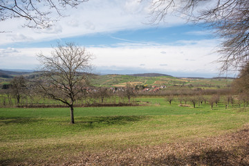 landscape in southern black forest germany in spring time.