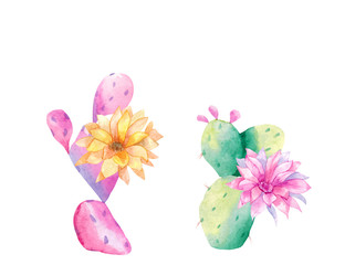 watercolor cactus. Raster illustration. illustration for greeting cards, invitations, and other printing projects. on white background.High resolution.Clipping path included.