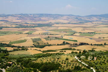 Fototapeta na wymiar Tuscany hills panorama summer view, Italian landscape