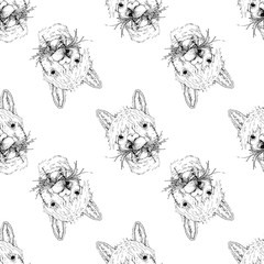 Seamless pattern of hand drawn sketch style portraits of alpaca. Vector illustration isolated on white background.