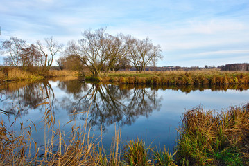Fototapeta premium The autumn evening landscape