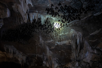 A batcave at the Kilim Karst Geoforest Park in Langkawi, Malaysia.