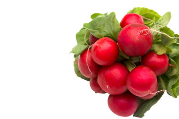 fresh garden radish on white background