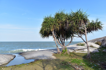 Penyabong Beach with  giant organized flat row of stones that everyone can step in, Belitung...