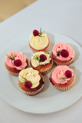 little beautiful cakes on a white plate 1