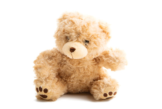 teddy bear soft isolated