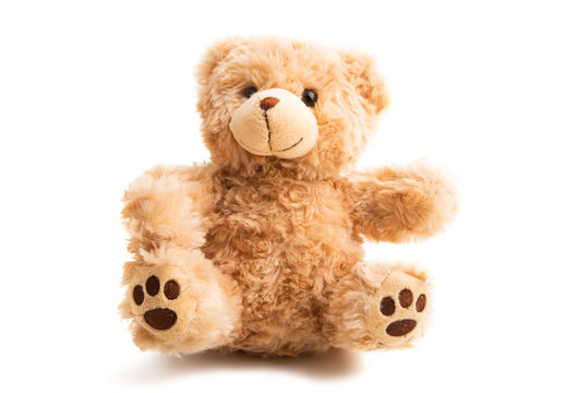 Naklejka teddy bear soft isolated