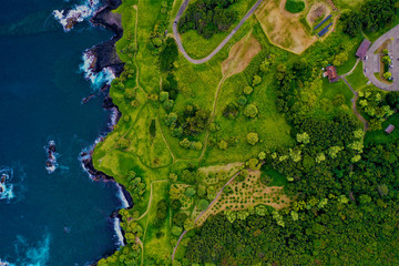 Hawaii von oben - Luftbilder von Maui und Big Island. Bote von oben, Strände und Küsten, Wale von...
