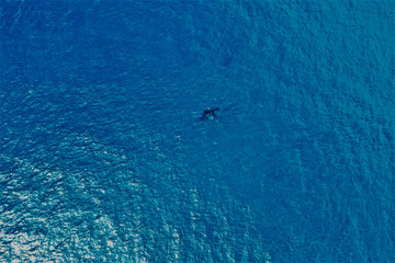 Hawaii von oben - Luftbilder von Maui und Big Island. Bote von oben, Strände und Küsten, Wale von oben und Lavalandschaften
