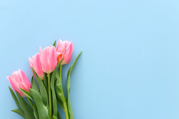 bouquet of pink tulips over pastel blue wooden background. Top view
