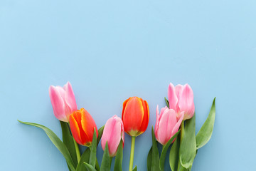 bouquet of orange and pink tulips over pastel blue wooden background. Top view.