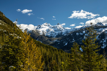 Obraz premium Sky pilot mountain and woods close up view from sea to sky gondola in squamish british columbia - canada