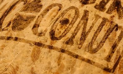 coconut close up background, concept healthy food and low fat nutrition