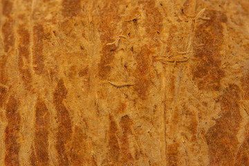 coconut close up background, concept healthy food and low fat nutrition