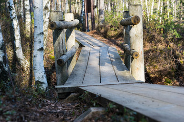 wooden bridge and road in swamp