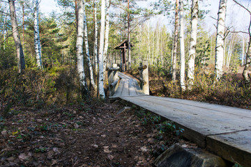 wooden bridge and road in swamp