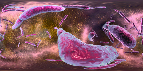 360-degree VR spherical panorama of rod-shaped bacteria, 3D illustration. Bacteria of Enterobacteriaceae family and other rods