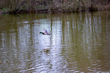 Nice walk in the afternoon