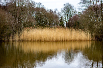 Obraz premium Nice walk in the afternoon