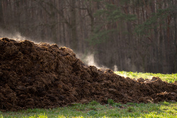 A pile of manure on an agricultural field for growing bio products