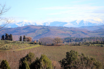 Landscape of Tuscany in autumn: hills, farmhouses, olive trees, cypresses, vineyards. The hills of Chianti south of Florence