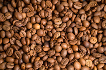 Coffee beans texture. Coffee background. A lot of coffee